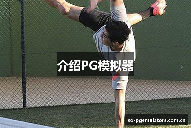 介绍PG模拟器